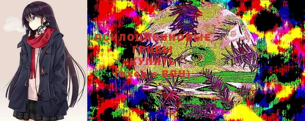стаф Балабаново
