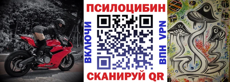 Псилоцибиновые грибы Psilocybine cubensis  гидра   Волоколамск  даркнет сайт 
